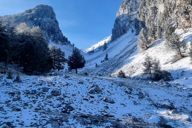 Mount Tomorri summit,hiking on the Holy Mountain