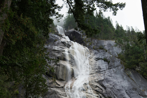 Limited Small Group Tour: Shannon Falls & Sea to Sky Gondola