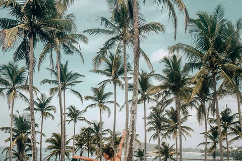 Mirissa: Private Coastal Tour with Coconut Tree Hill