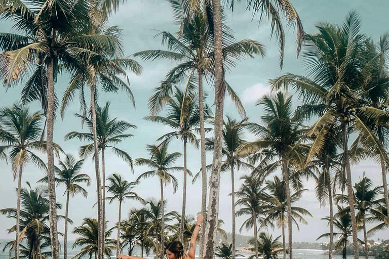 Mirissa: Private Coastal Tour with Coconut Tree Hill