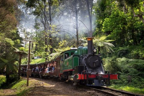 From Melbourne: Puffing Billy Steam Train & Penguin Paraade