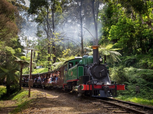 Visit From Melbourne Puffing Billy Steam Train & Penguin Parade in Melbourne