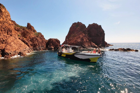 فريجوس: رحلة بحرية Esterel Calanques (قارب مريح) + محطة للسباحة