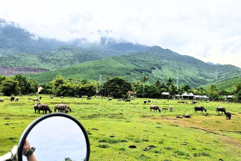 Hai Van Pass Motorbike Tour with Mr T Easy Rider Hai Van Pass Easy Rider: From Hue, Hoi An, Da Nang