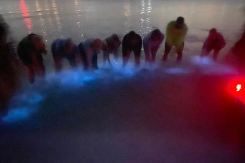Orlando: Bioluminescence Kayak Tour
