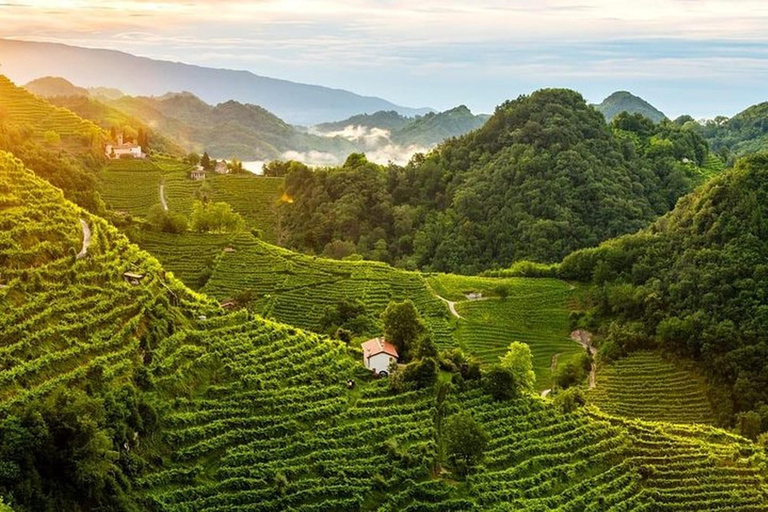 From Venice: Wine and Food tour in the Prosecco Hills