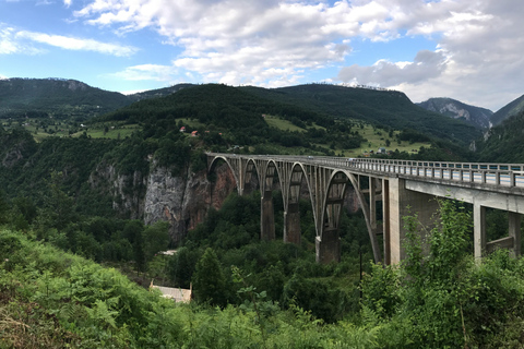 De Kotor: Viagem de 1 dia ao Parque Nacional Durmitor e à Ponte de Tara