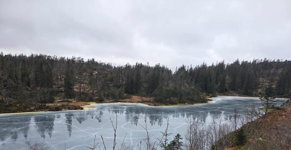 Bergen: Hike & Explore the area of Mount Fløyen