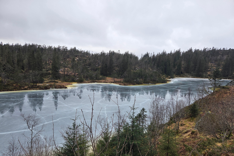 Bergen: Hike & Explore the area of Mount Fløyen