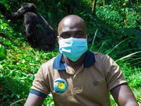 CHIMPANZEA GORILE DE 6 días Gorilla Golden Monkey & Game Drive Safari - Housity