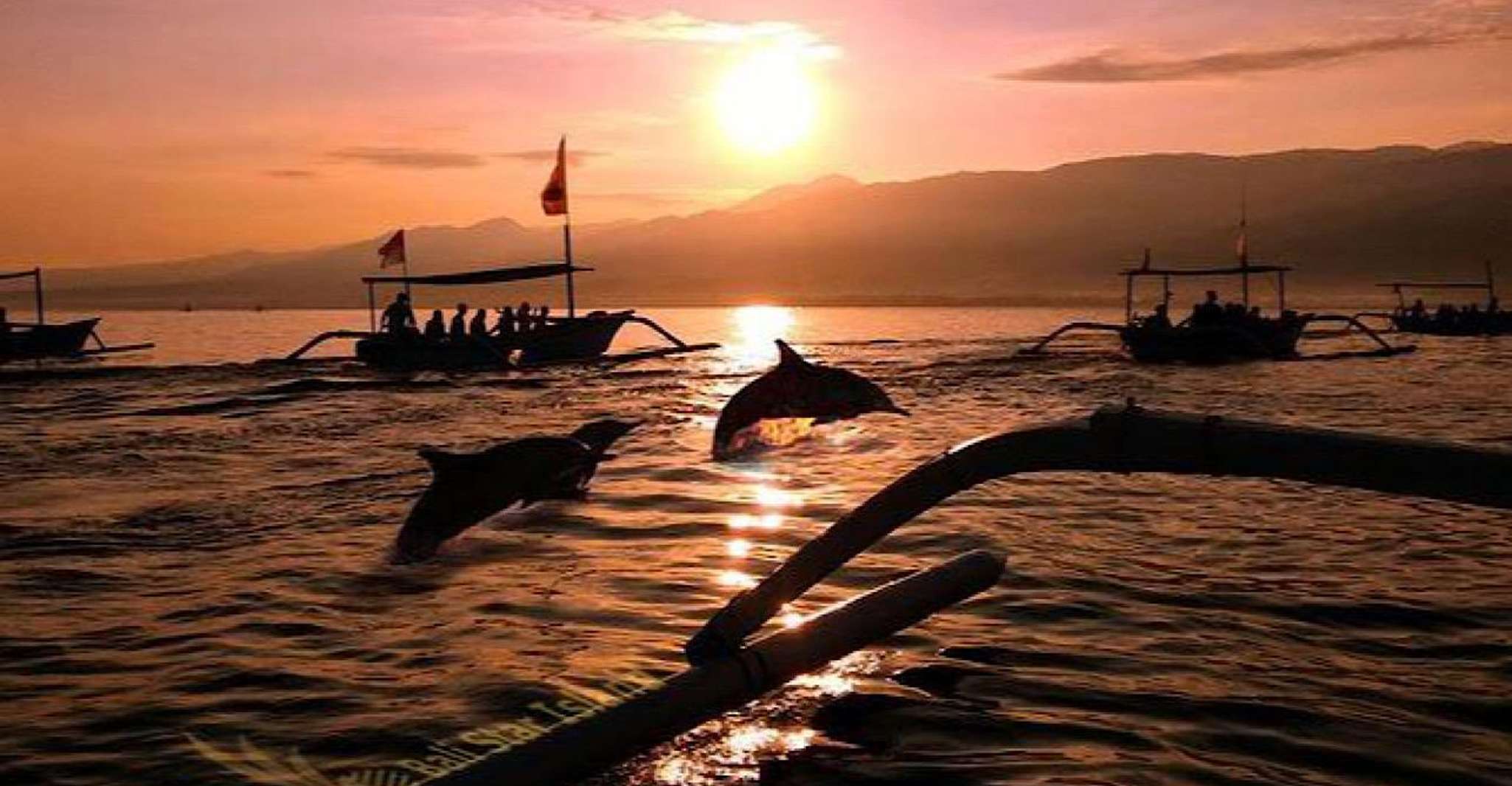 Lovina/Bali, Watching dolphin, Swimming & Snorkeling tickets - Housity