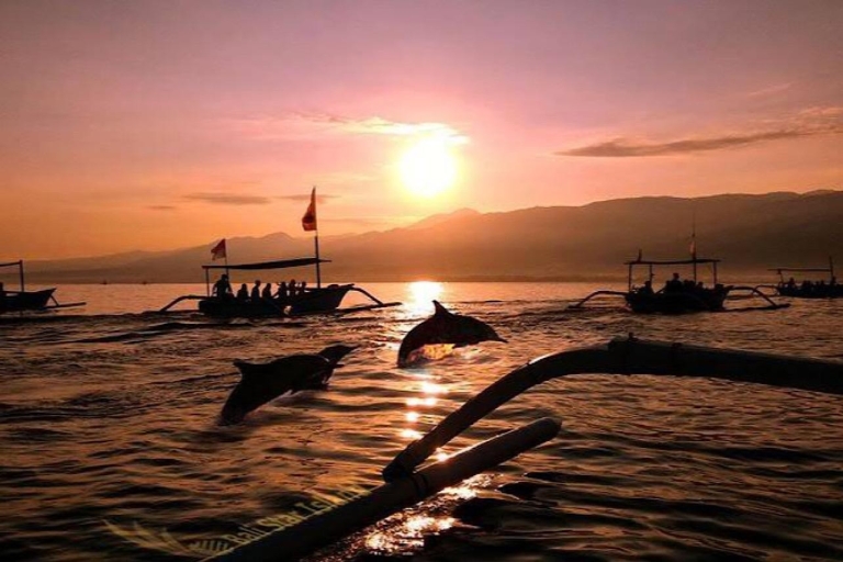 Lovina : Sunrise Dolphin Tour Snorkeling, Waterfall & Temple Activities with transport service North Bali - Private Boat