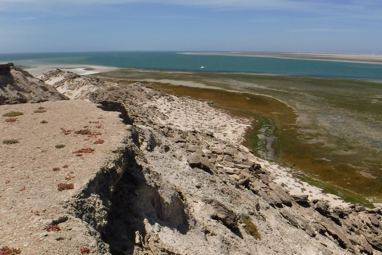 Dakhla: Catamaran Sailing Adventure with Island Visit