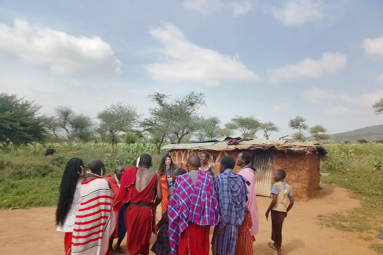 马赛村落：马赛传统文化体验马赛村：马赛传统文化体验