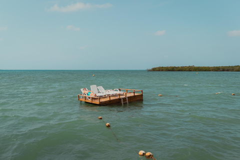 罗萨里奥群岛：卡塔赫纳私人快艇之旅29英尺私人游艇（最多可容纳10人）