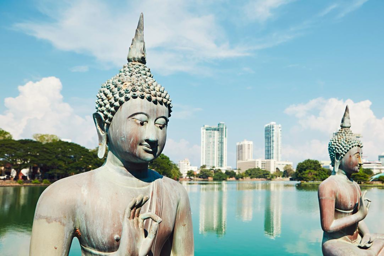 5 Days Sri Lanka Tour with 4 Star H/B Hotels