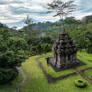 Yogyakarta: Selogriyo Temple, Rice Field Trek & Nepalvan Java