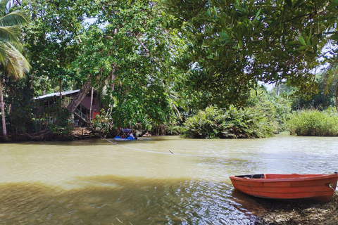 Private Kayaking Adventure: a 2-hour Wildlife Escape Self-Guided Kayaking Adventure: a 2-hour Wildlife Escape