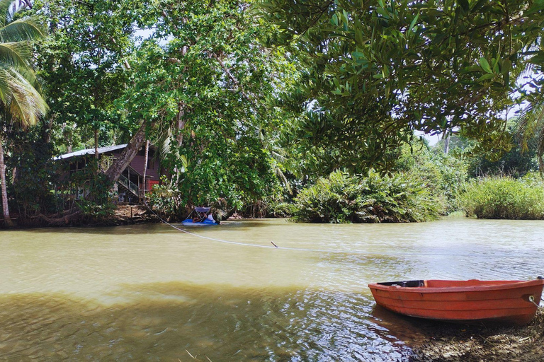 Private Kayaking Adventure: a 2-hour Wildlife Escape Self-Guided Kayaking Adventure: a 2-hour Wildlife Escape