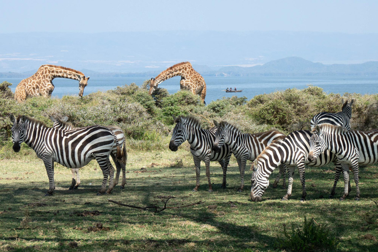 Excursión de un día a Hellsgate y el lago Naivasha desde Nairobi