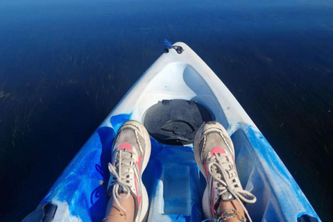 ZANZIBAR: Mangrove Kayaking and Turtle Swim at Salaam Cave PRIVATE TOUR INCLUDES TRANSFER