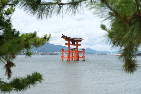 Private Hiroshima: Peace Memorial Park and Miyajima Day Trip