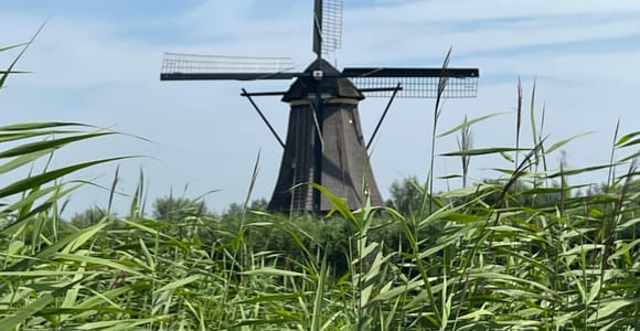 Kinderdijk Windmühlen, Delft Stadt & Delft Blue Fabrik Besuch