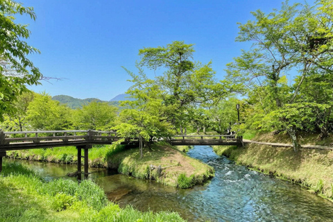 Mt. Fuji & Hakone Tour: Arakurayama, OshinoHakkai, Owakudani Tokyo Station | 7:30 AM Departure with English Guide