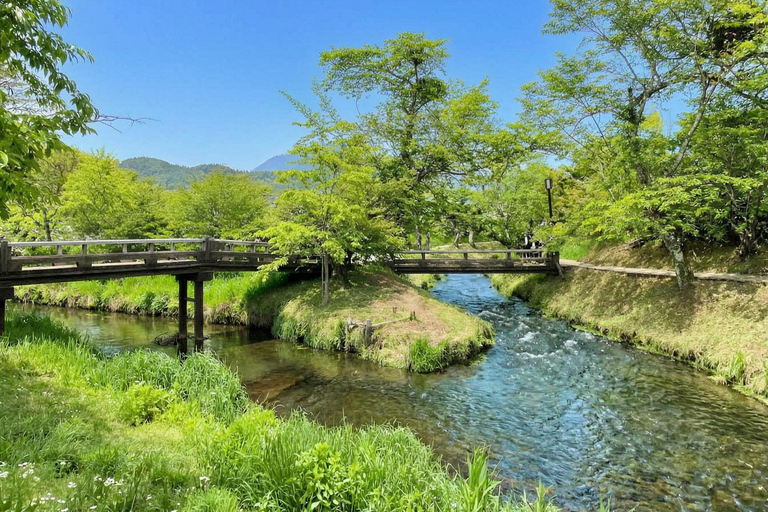 Mt. Fuji & Hakone Tour: Arakurayama, OshinoHakkai, Owakudani Tokyo Station | 7:30 AM Departure with English Guide