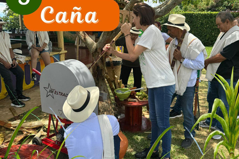 Medellin: Coffee and fruit tour