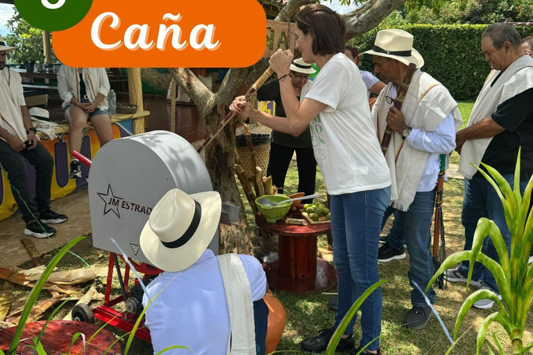 Medellin: Coffee and fruit tour