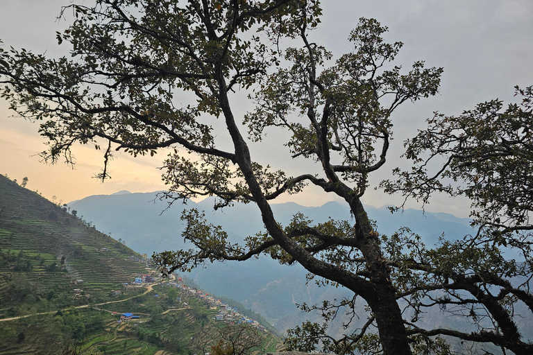Kathmandu: 2-Day Hidden Trek to Tangu with Mountain Views