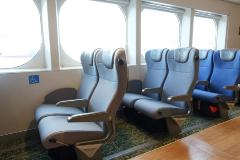 PanStar Busan Coastline Cruise & Sunset & Fireworks