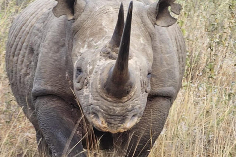 Nairobi National Park Guided Game Drive