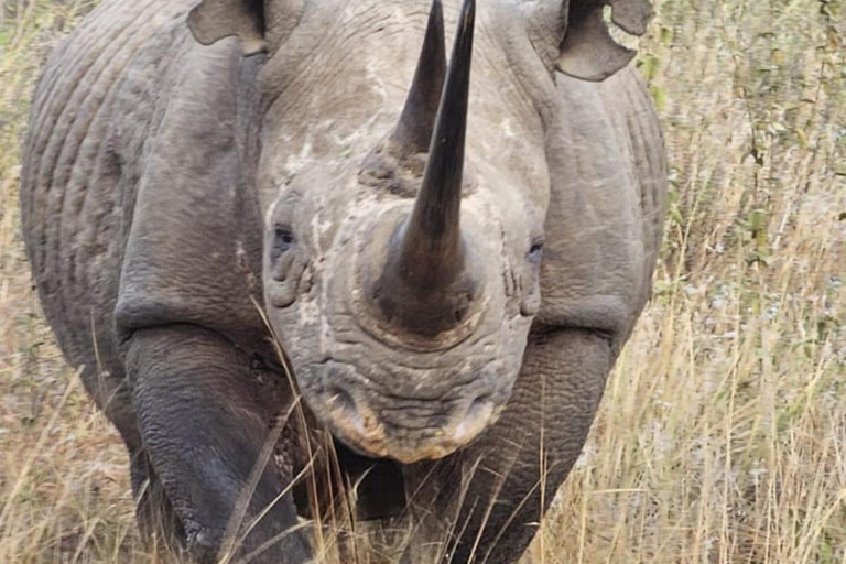 Nairobi National Park Guided Game Drive