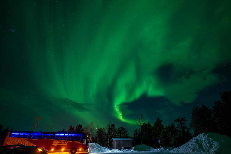 Kiruna: Abisko Northern Lights Tour with photos & transfers