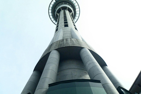 Auckland: Scenic Highlights Tour with Ferry Ride