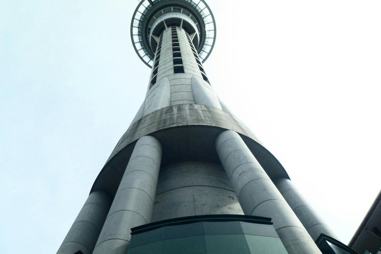 Auckland: Scenic Highlights Tour with Ferry Ride