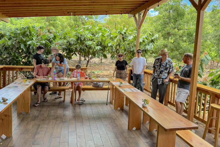 Oahu: Chocolate Farm Tour with Tasting - Kamananui Cacao