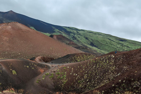 Mt. Etna: Volcano Tour from Catania with Certified Guide and Tasting Etna: Tour from Catania to discover the volcano with a certified guide