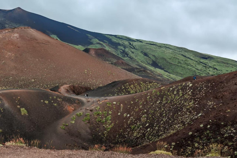 Mt. Etna: Volcano Tour from Catania with Certified Guide and Tasting Etna: Tour from Catania to discover the volcano with a certified guide