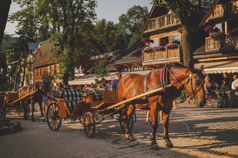 克拉科夫：扎科帕内之旅、烈酒品鉴和温泉克拉科夫：%%折扣扎科帕内之旅和温泉
