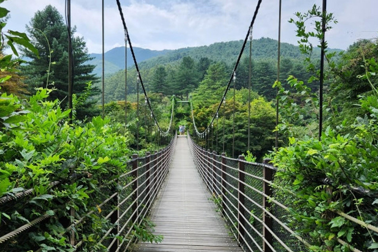 From Seoul: K-Drama Filming Tour: Garden of Morning Calm