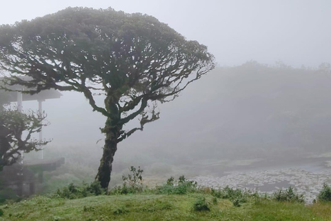 Sri Lanka: 10-Day Wildlife, Culture & Scenic Adventure