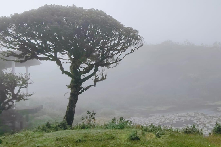 Sri Lanka: 10-Day Wildlife, Culture & Scenic Adventure