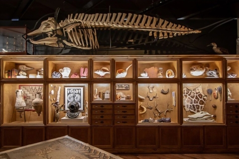 Houston: ticket Museum voor NatuurwetenschappenAlleen tentoonstellingshal Museum voor natuurwetenschappen in Houston