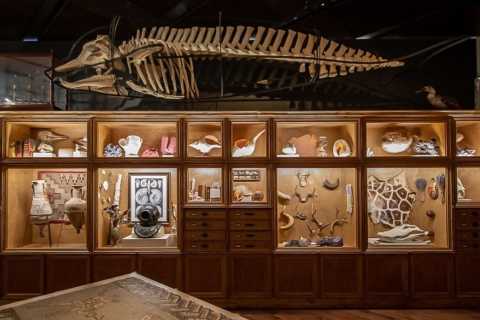 Houston: entrada al Museo de Ciencias Naturales