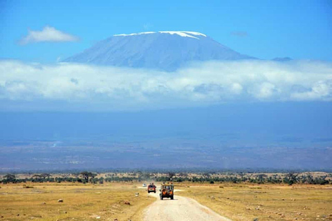 Kilimanjaro: Dorpswandeling, koffietour, waterval en lunchKili dorp tour