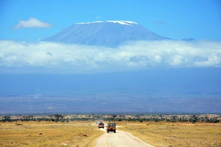 Kilimanjaro: Caminhada pela vila, excursão a pé pelo café, cachoeira e almoçoPasseio pela vila de Kili