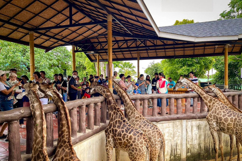 Private Transfer from Bangkok and Hua-Hin | Thailand Van/ Hua Hin to Bangkok